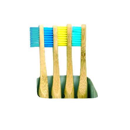 Waterpik WP-100 – Dental Care